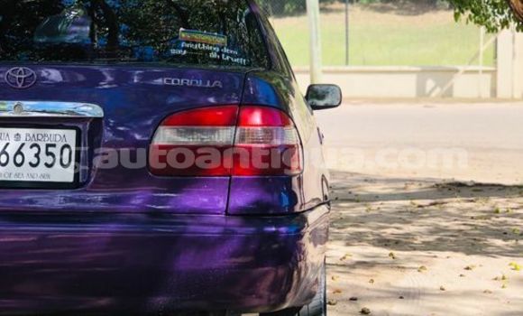 Buy Used Toyota Corolla Other Car in Bolands in Antigua Buy Used Toyota Corolla Other Car in Bolands in Antigua