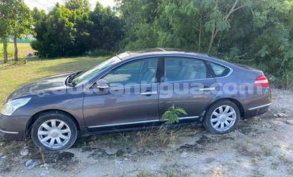 Buy Used Nissan Tiida Other Car in St John's in Antigua Buy Used Nissan Tiida Other Car in St John's in Antigua