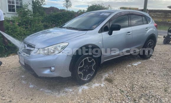 Buy Used Subaru Forester Other Car in St John's in Antigua