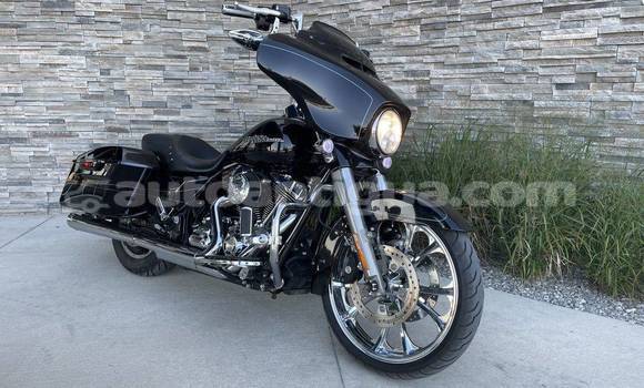 Buy Used Harley Davidson Softail Black Bike in Carlisle in Antigua