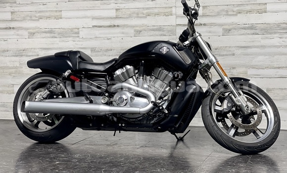 Buy Used Harley Davidson VRSC Black Bike in Bolands in Antigua