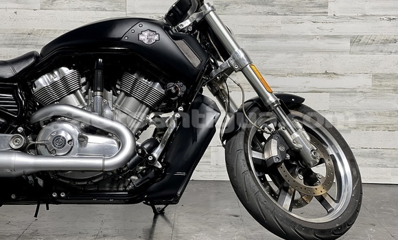 Buy Used Harley Davidson VRSC Black Bike in Bolands in Antigua Buy Used Harley Davidson VRSC Black Bike in Bolands in Antigua