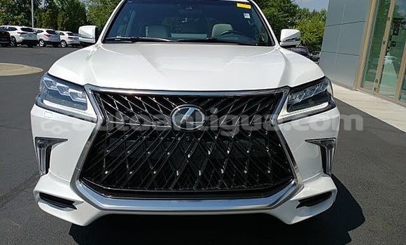 Buy Used Lexus LX 570 White Car in All Saints in Antigua Buy Used Lexus LX 570 White Car in All Saints in Antigua