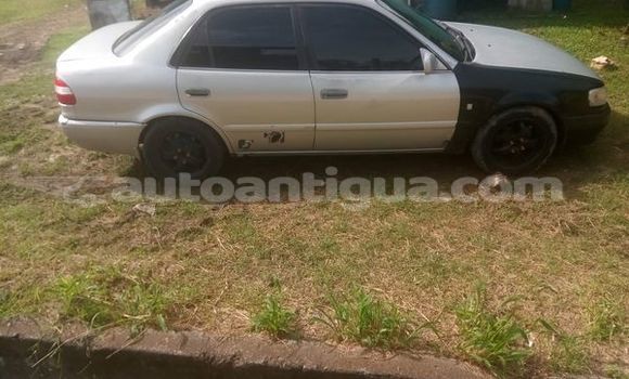 Buy Used Toyota Corolla Other Car in All Saints in Antigua Buy Used Toyota Corolla Other Car in All Saints in Antigua