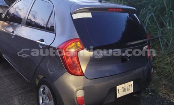 Buy Used Kia Picanto Other Car in All Saints in Antigua