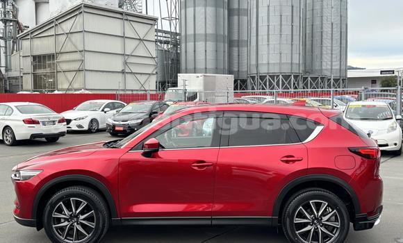 Buy Used Mazda CX-5 Red Car in St John's in Antigua Buy Used Mazda CX-5 Red Car in St John's in Antigua