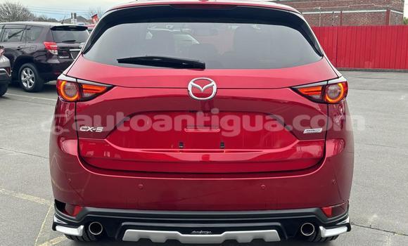 Buy Used Mazda CX-5 Red Car in St John's in Antigua Buy Used Mazda CX-5 Red Car in St John's in Antigua
