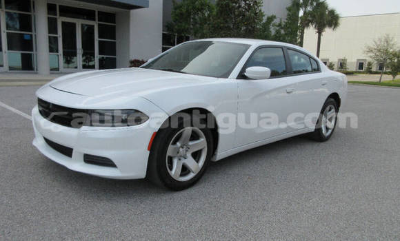 Buy Used Dodge Charger White Car in St John's in Antigua