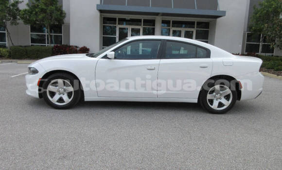 Buy Used Dodge Charger White Car in St John's in Antigua Buy Used Dodge Charger White Car in St John's in Antigua