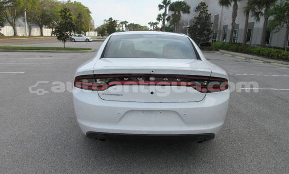 Buy Used Dodge Charger White Car in St John's in Antigua Buy Used Dodge Charger White Car in St John's in Antigua