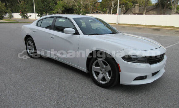 Buy Used Dodge Charger White Car in St John's in Antigua Buy Used Dodge Charger White Car in St John's in Antigua