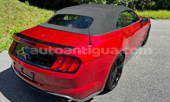 Buy Used Ford Mustang Red Car in St John's in Antigua Buy Used Ford Mustang Red Car in St John's in Antigua