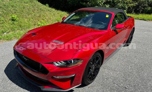 Buy Used Ford Mustang Red Car in St John's in Antigua Buy Used Ford Mustang Red Car in St John's in Antigua