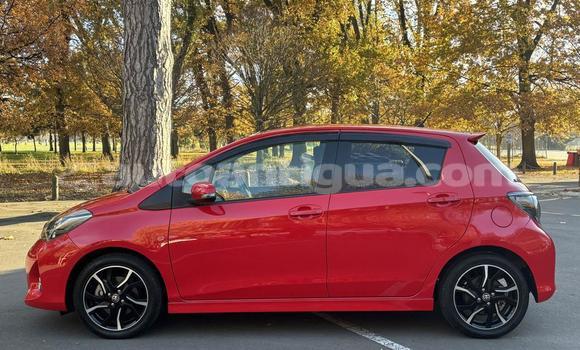 Buy Used Toyota Vitz Red Car in St John's in Antigua Buy Used Toyota Vitz Red Car in St John's in Antigua