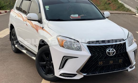 Buy Used Toyota RAV4 White Car in St John's in Antigua Buy Used Toyota RAV4 White Car in St John's in Antigua