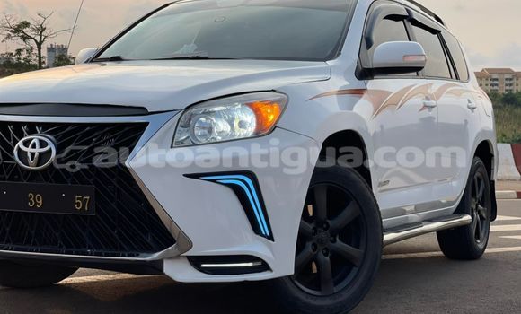 Buy Used Toyota RAV4 White Car in St John's in Antigua Buy Used Toyota RAV4 White Car in St John's in Antigua
