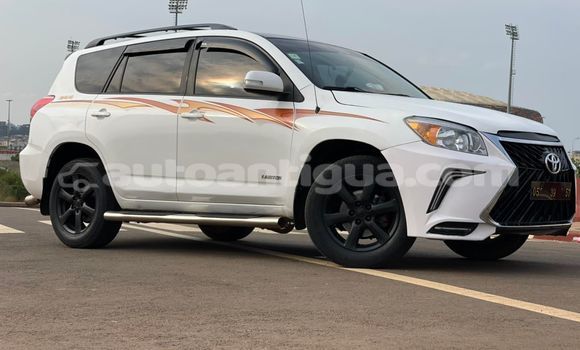 Buy Used Toyota RAV4 White Car in St John's in Antigua Buy Used Toyota RAV4 White Car in St John's in Antigua