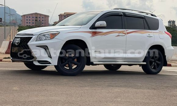 Buy Used Toyota RAV4 White Car in St John's in Antigua Buy Used Toyota RAV4 White Car in St John's in Antigua