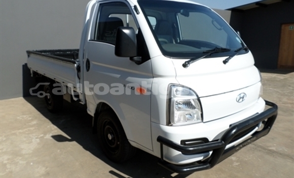 Buy Used Hyundai H200 White Car in St John's in Antigua