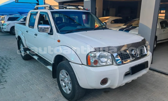Buy Used Nissan NP 300 White Car in St John's in Antigua Buy Used Nissan NP 300 White Car in St John's in Antigua