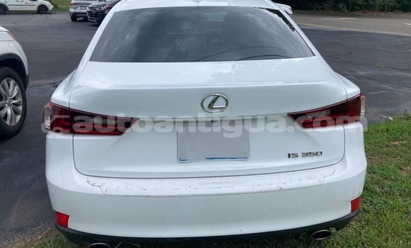 Buy Used Lexus IS 300 White Car in St John's in Antigua Buy Used Lexus IS 300 White Car in St John's in Antigua
