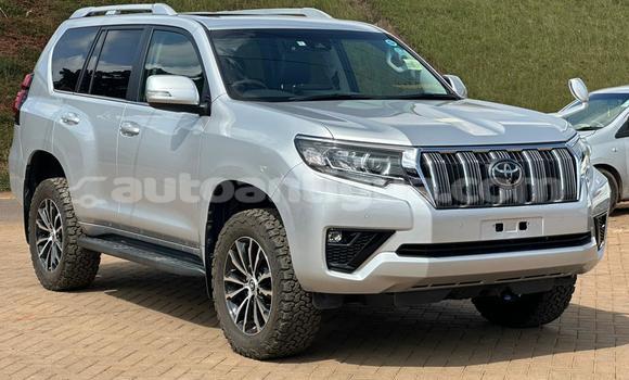 Buy Used Toyota Land Cruiser Prado White Car in St John's in Antigua Buy Used Toyota Land Cruiser Prado White Car in St John's in Antigua