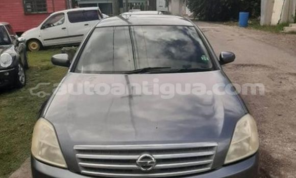 Buy Used Nissan Teana Other Car in Codrington in Antigua Buy Used Nissan Teana Other Car in Codrington in Antigua