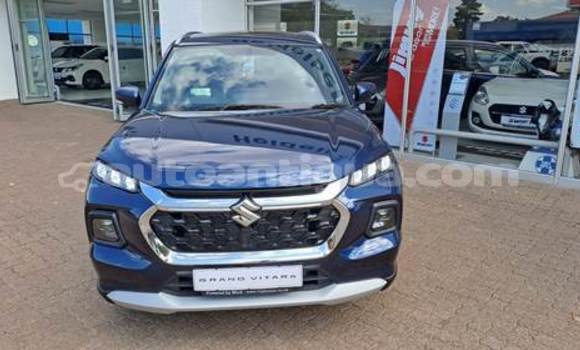 Buy Used Suzuki Grand Vitara Blue Car in St John's in Antigua Buy Used Suzuki Grand Vitara Blue Car in St John's in Antigua