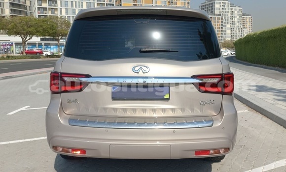 Buy Used Infiniti QX80 Other Car in St John's in Antigua Buy Used Infiniti QX80 Other Car in St John's in Antigua
