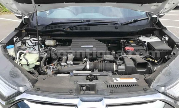 Buy Used Honda CR–V White Car in St John's in Antigua Buy Used Honda CR–V White Car in St John's in Antigua