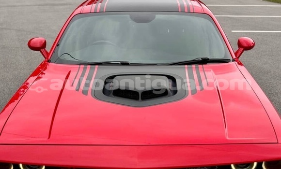 Buy Used Dodge Challenger Red Car in St John's in Antigua Buy Used Dodge Challenger Red Car in St John's in Antigua