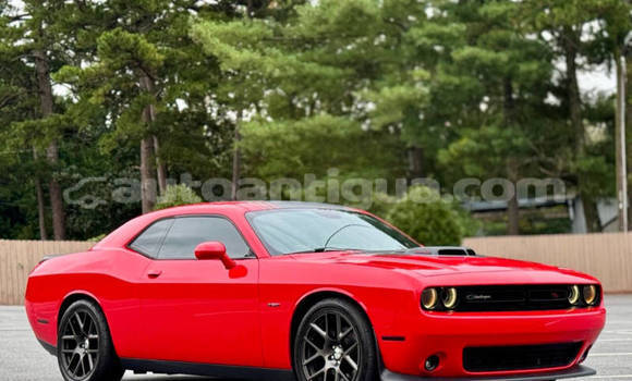 Buy Used Dodge Challenger Red Car in St John's in Antigua Buy Used Dodge Challenger Red Car in St John's in Antigua
