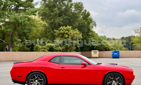Buy Used Dodge Challenger Red Car in St John's in Antigua Buy Used Dodge Challenger Red Car in St John's in Antigua
