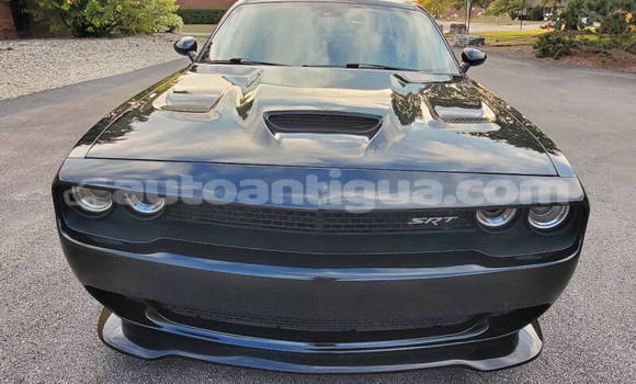 Buy Used Dodge Challenger Black Car in St John's in Antigua Buy Used Dodge Challenger Black Car in St John's in Antigua