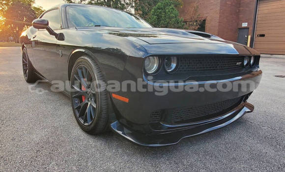 Buy Used Dodge Challenger Black Car in St John's in Antigua Buy Used Dodge Challenger Black Car in St John's in Antigua