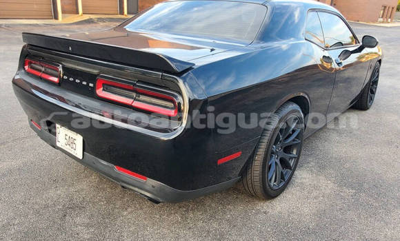 Buy Used Dodge Challenger Black Car in St John's in Antigua Buy Used Dodge Challenger Black Car in St John's in Antigua