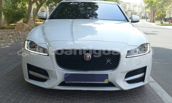 Buy Used Jaguar XF White Car in St John's in Antigua Buy Used Jaguar XF White Car in St John's in Antigua