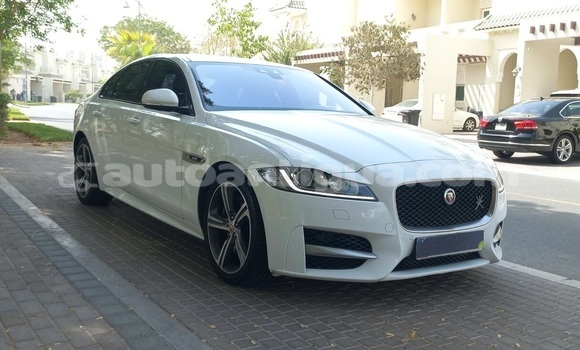 Buy Used Jaguar XF White Car in St John's in Antigua Buy Used Jaguar XF White Car in St John's in Antigua