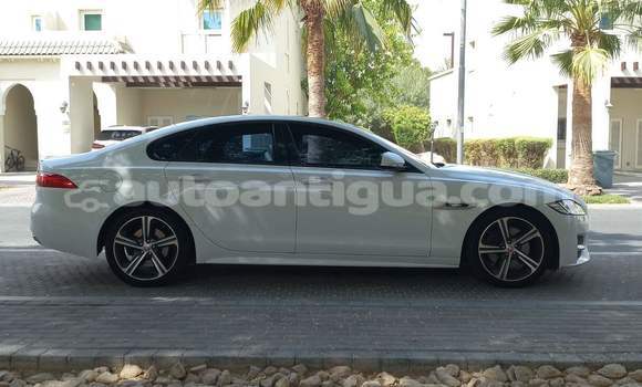 Buy Used Jaguar XF White Car in St John's in Antigua Buy Used Jaguar XF White Car in St John's in Antigua