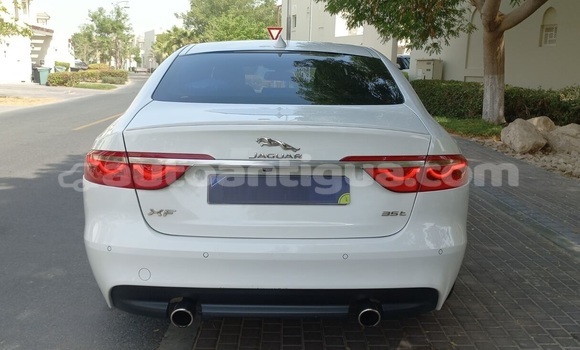 Buy Used Jaguar XF White Car in St John's in Antigua Buy Used Jaguar XF White Car in St John's in Antigua