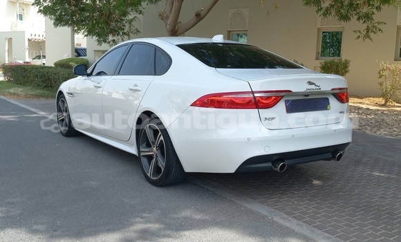 Buy Used Jaguar XF White Car in St John's in Antigua Buy Used Jaguar XF White Car in St John's in Antigua
