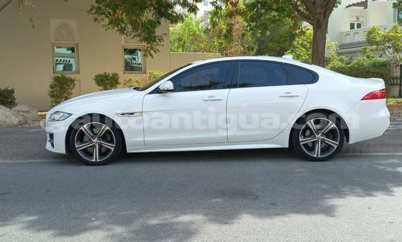 Buy Used Jaguar XF White Car in St John's in Antigua Buy Used Jaguar XF White Car in St John's in Antigua