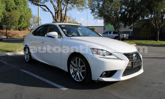 Buy Used Lexus IS White Car in St John's in Antigua Buy Used Lexus IS White Car in St John's in Antigua