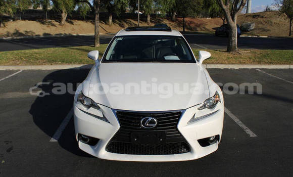 Buy Used Lexus IS White Car in St John's in Antigua Buy Used Lexus IS White Car in St John's in Antigua