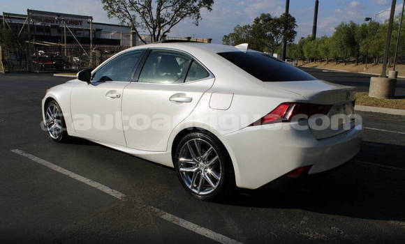 Buy Used Lexus IS White Car in St John's in Antigua Buy Used Lexus IS White Car in St John's in Antigua