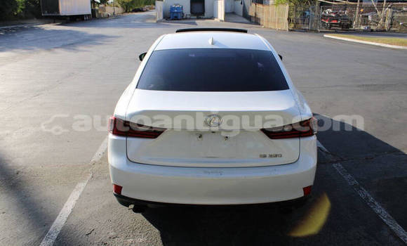 Buy Used Lexus IS White Car in St John's in Antigua Buy Used Lexus IS White Car in St John's in Antigua
