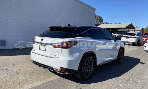 Buy Used Lexus RX 350 White Car in St John's in Antigua Buy Used Lexus RX 350 White Car in St John's in Antigua