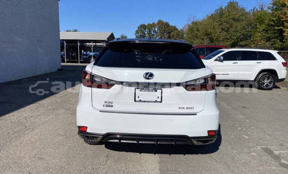 Buy Used Lexus RX 350 White Car in St John's in Antigua Buy Used Lexus RX 350 White Car in St John's in Antigua