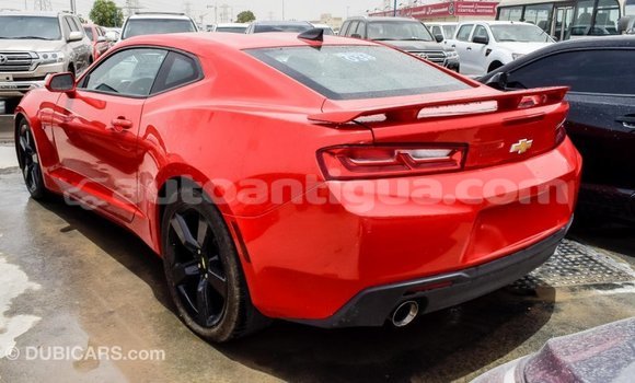 Buy Import Chevrolet Camaro Red Car in Import - Dubai in Antigua Buy Import Chevrolet Camaro Red Car in Import - Dubai in Antigua