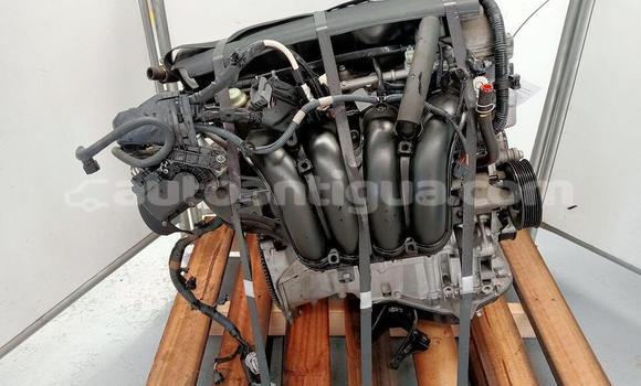 Buy Toyota RAV4 Engine in Potters Village in Antigua Buy Toyota RAV4 Engine in Potters Village in Antigua